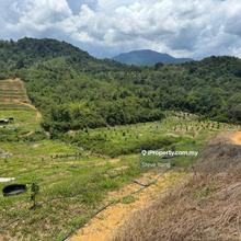 Tanjong Malim Agriculture Land For Sale