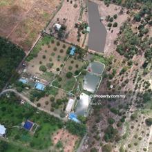 Broga Agricultural and Industrial land