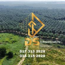 Behrang Industrial Land for Sale