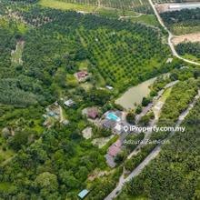 Spacious 29 Acres Farm Resort Agricultural Land Durian Tunggal, Melaka