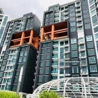 Lelong 25th Mar 2025