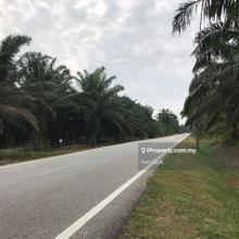 16 Arces Agricultural Land Karangan Kulim for Sale