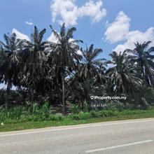 Kuala Selangor Selangor Agricultural Land For Sale Iproperty Com My