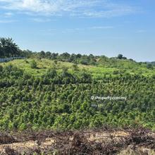 16.3acres @ Rm16 Seelong Agricultural Land, Suitable for Resort, Farm