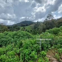 46 Acres Land @ Cameron Highlands