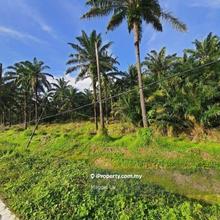 Agriculture Land @ Kg.Lembah Paya, Salak Tinggi For Sale