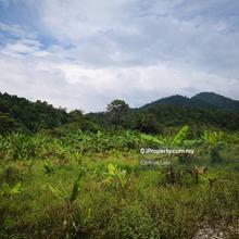 Detached factory for Sale