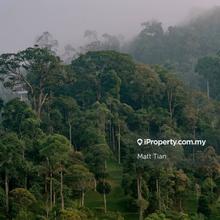 Tanarimba land for residential use. combined 3 lots with 1 acre each