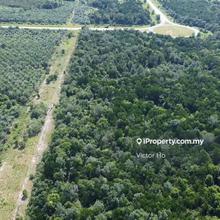 Sungai Kilong Sematan Lundu Mixed Zone Land For Sale