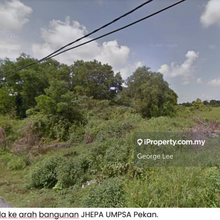 Pekan, Pahang -  lfs099 Agriculture Land