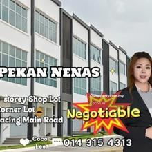 Pekan Nanas @ Corner unit 3-storey Shop Lot