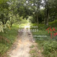 Non-Bumi Lot, Rare, Geopark, Strategic Location, Non-Bumi Lot, Rare