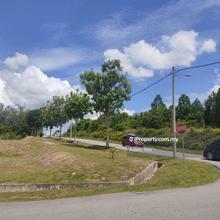 Tanjung Minyak  Argiculture Land Freehold