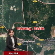 Freehold Agriculture Land Residential Area Kesang Jasin Melaka Sale