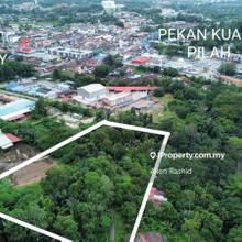 Spacious 3.67 Industrial Land Kuala Pilah, Negeri Sembilan