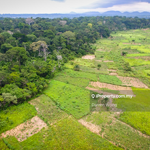Agriculture Land For Sale , Flat Land , Distance from Mainroad 2.5km