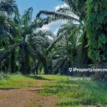 Agriculture land for Sale