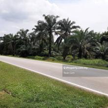Pekan Nanas Pontian
