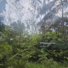 3 acres Karak (Sg Pertak) Rubber Land for Sale