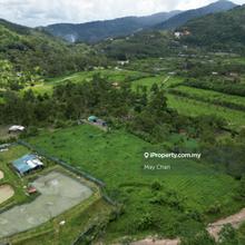 Super Cheap Broga Land
