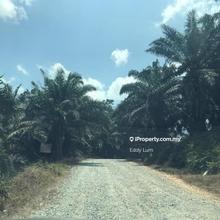 Agriculture land for Sale