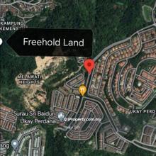Freehold land