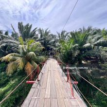 492 acres Oil Palm Estate @ Kuala Lipis Negeri Sembilan