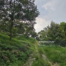 Durian Farm For Sale