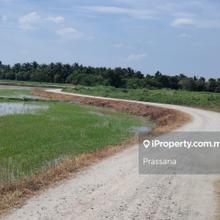 Tanah Rm 5 /kp Sesuai Untuk Perternakan @ Guar Jering, Bukit Mertajam