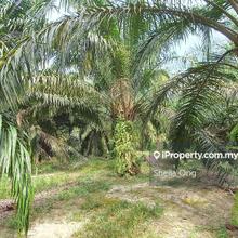 Banting Road Front land for Sale