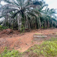 Residential land @ alor gajah, melaka pindah