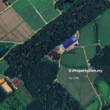 Agriculture Land for Sale - Senai