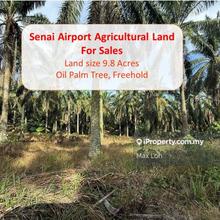 Senai Airport, Agricultural Land, Land 9.8 Acres