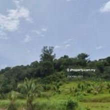 Own a piece of Penang's Durian Heritage Agricultural land