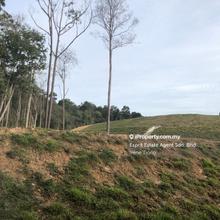 Industrial land for Sale