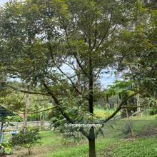 Broga Durian land , Lenggeng Land For Sale