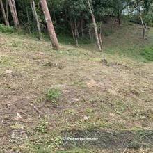 Agriculture land for Sale