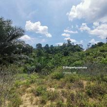 10 Acres Freehold Agriculture Land Manjung Lumut Setiawan