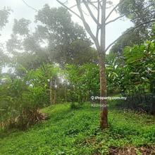 4 Ekar Tanah Kebun Pertanian Blok 80, Hulu Langat