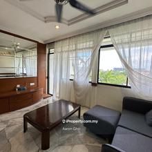 Lavinia Apartment Sungai Nibong Fully Furnished Move In Condition