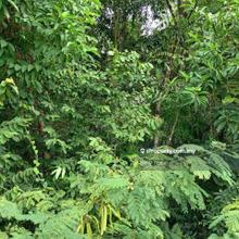 Empty Agriculture Land @ Bukit Ibam (Keratong), Rompin for Sale