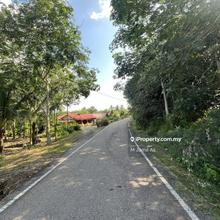 Tanah Pertanian di Kg Paya Besar, Pogoh, Segamat