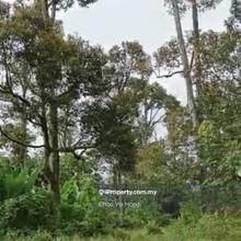 Karak Agriculture Land for Sale 