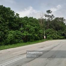 Rubber Plantation Land for Sale