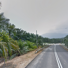 Oil Palm Plantation Land @ Tawar, Kedah for sale