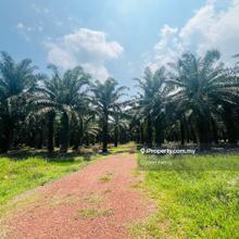 Mukim Api-Api, Daerah Pontian