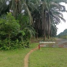 3.1 Ekar Tanah Zoning Industri, Bandar Lunas - bdktn La Casa Lunas