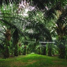 Industrial land for Sale