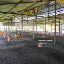 Freehold, Ready with Chicken Breeding Facilities