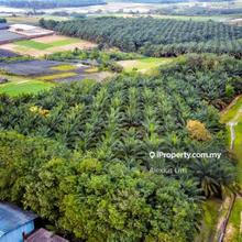 For Sale - Ulu Tiram - Agricultural Land